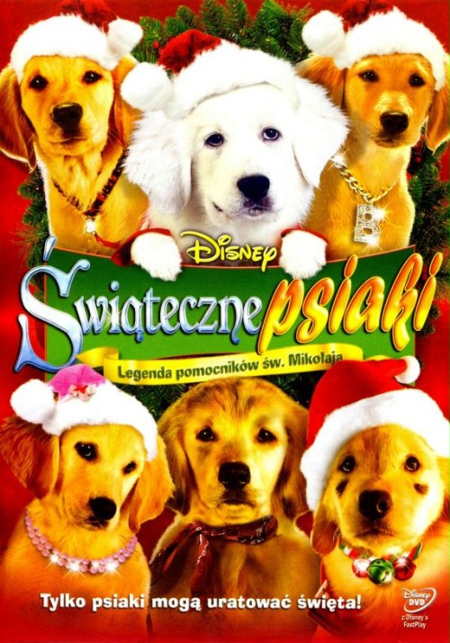 Swiąteczne psiaki